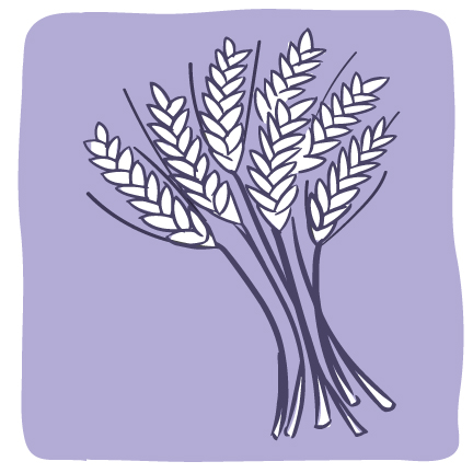 Ilustración de un manojo de trigo.